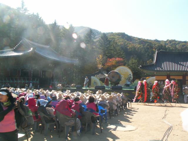 강릉 191