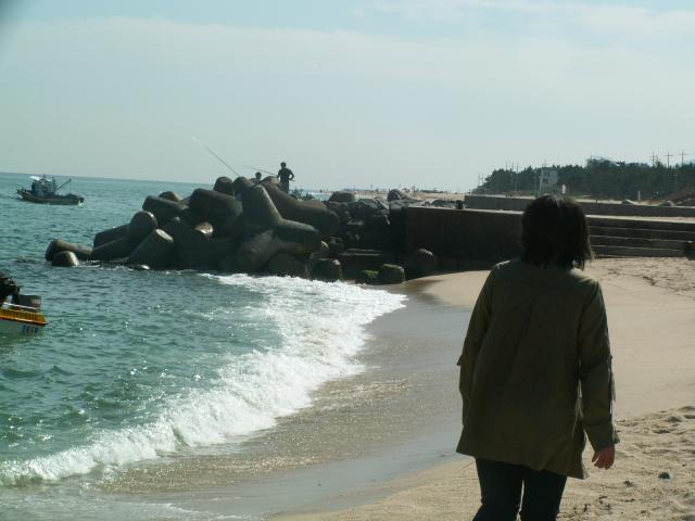 강릉 161