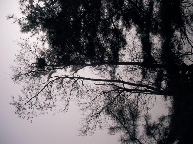 00011