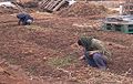 2009년 4월 29일 (수) 13:57 판의 섬네일