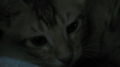 2008년 8월 21일 (목) 07:54 판의 섬네일