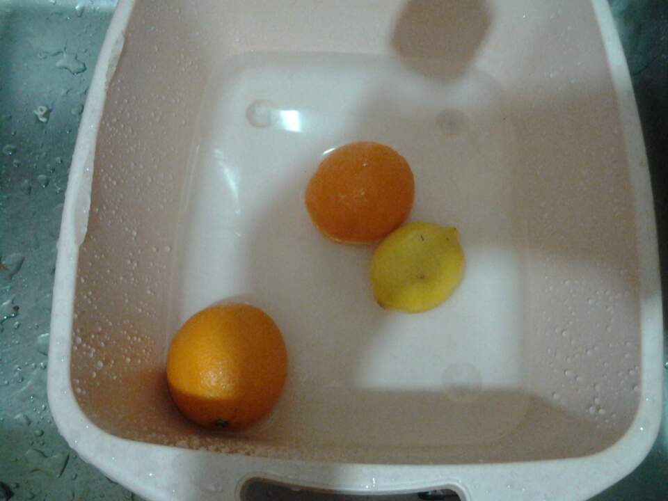03.jpg