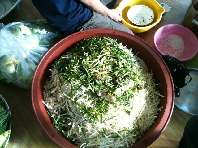 사진 014.jpg