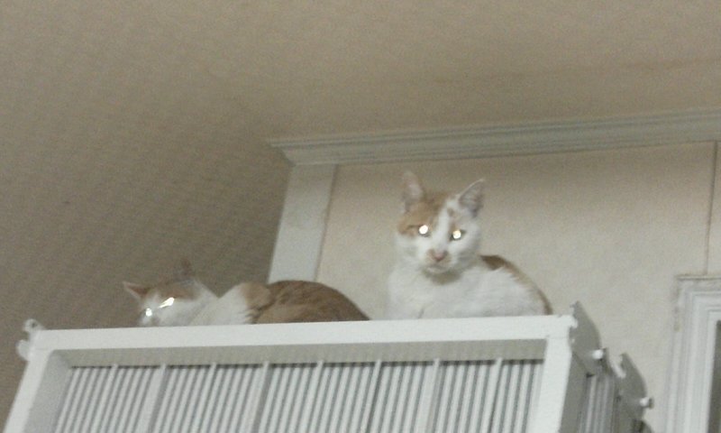 2011-04-2622.25.04.jpg