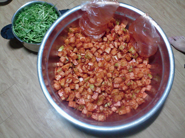 사진111119_024.jpg