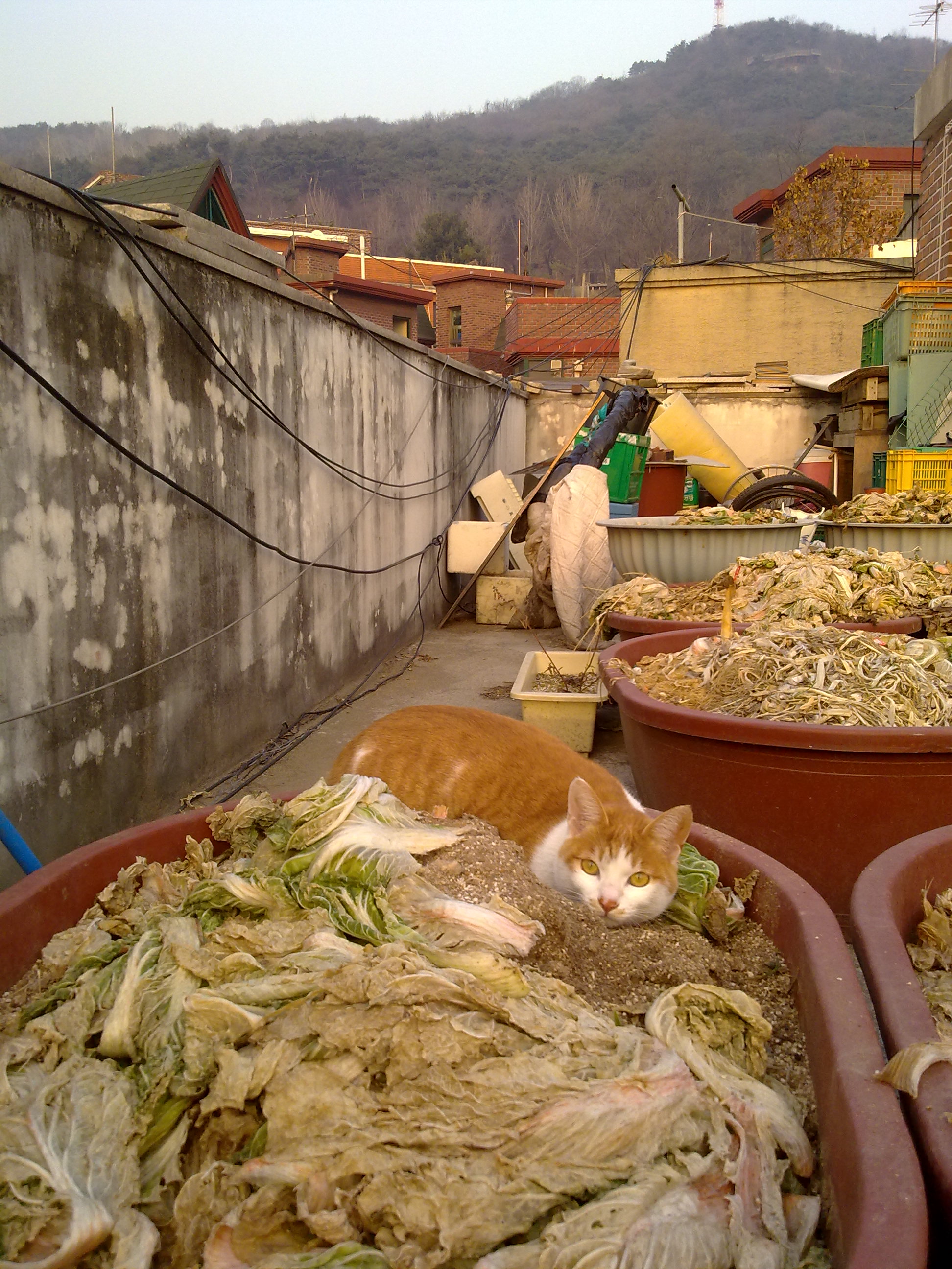 201012202501.jpg