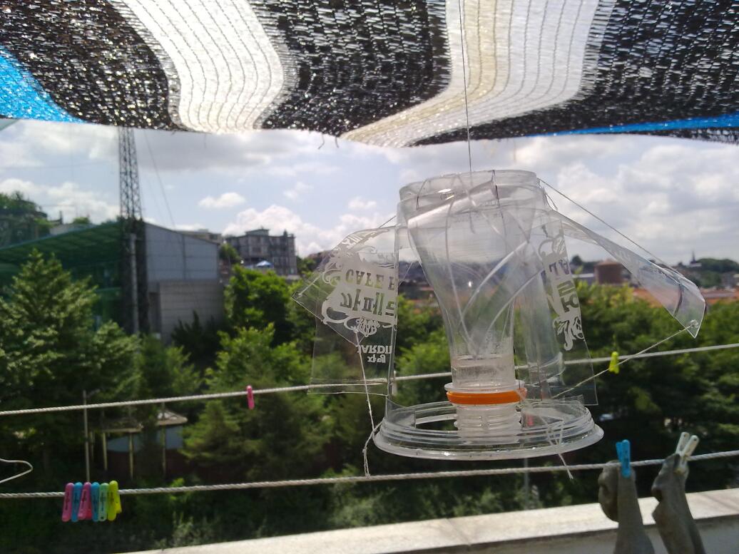 20100712329.jpg