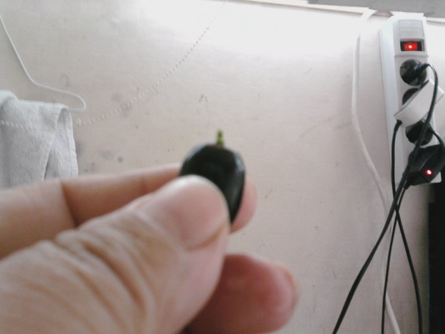 Photo160.jpg