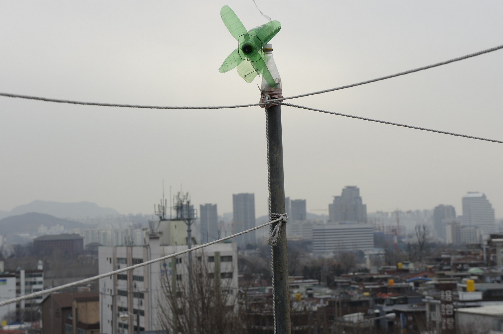 nex-201012 025.jpg