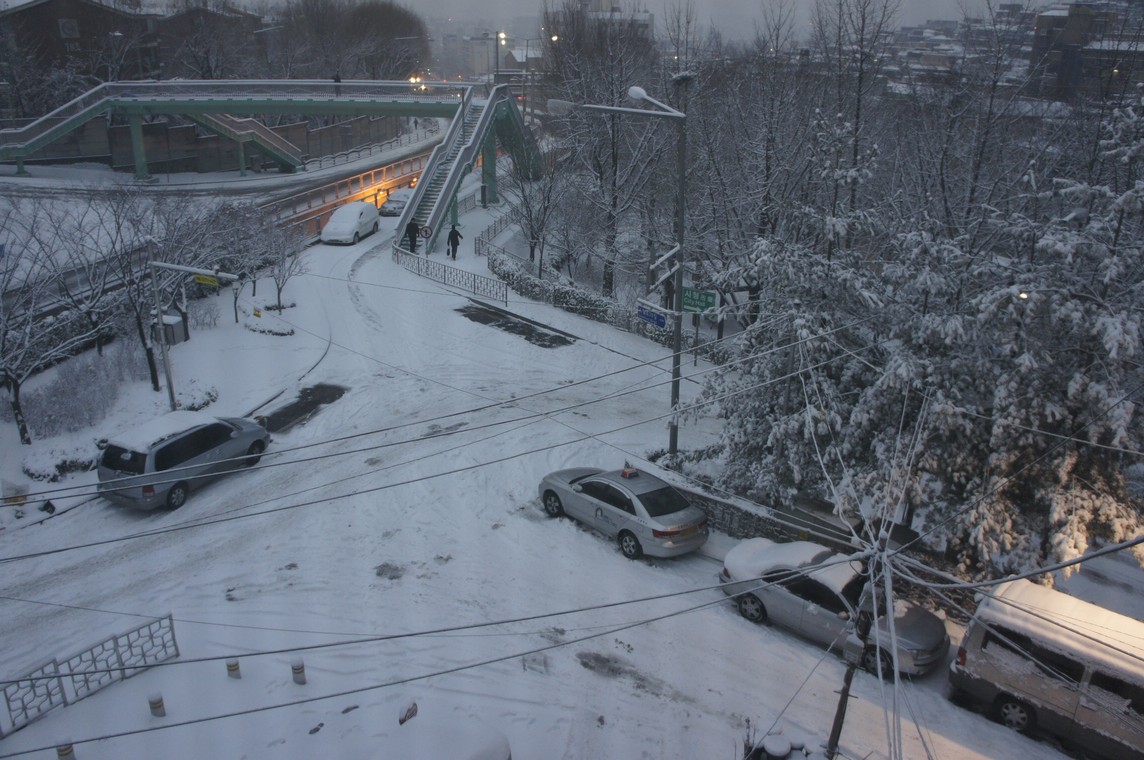 nex-201012 230.jpg