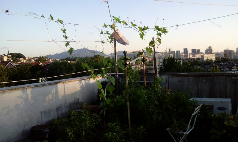 2011-07-19 19.18.40.jpg