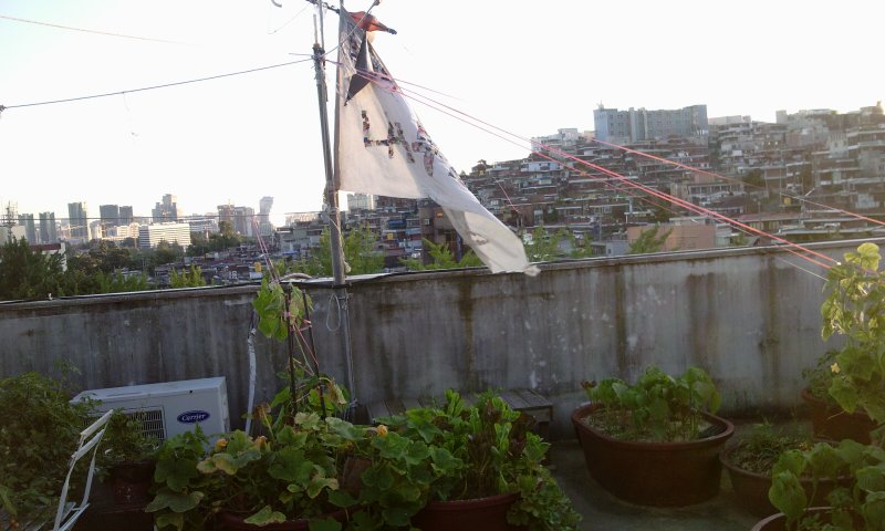 2011-07-19 19.18.48.jpg