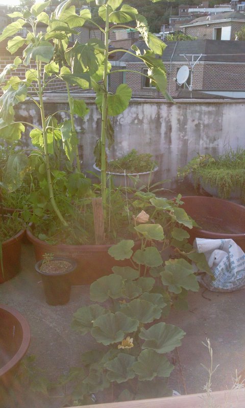 2011-07-19 19.19.03.jpg