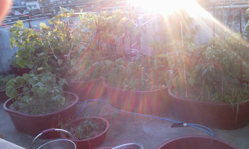 2011-07-19 19.19.11.jpg