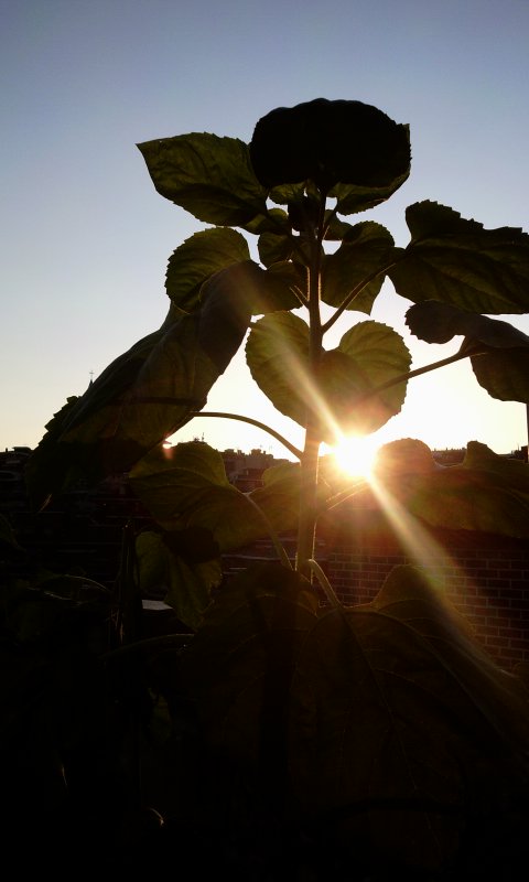 20110719192007.jpg