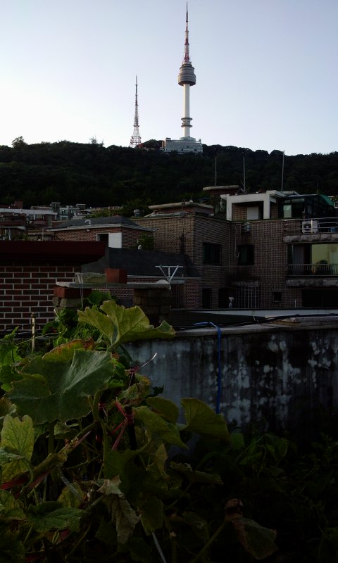 20110719193106.jpg