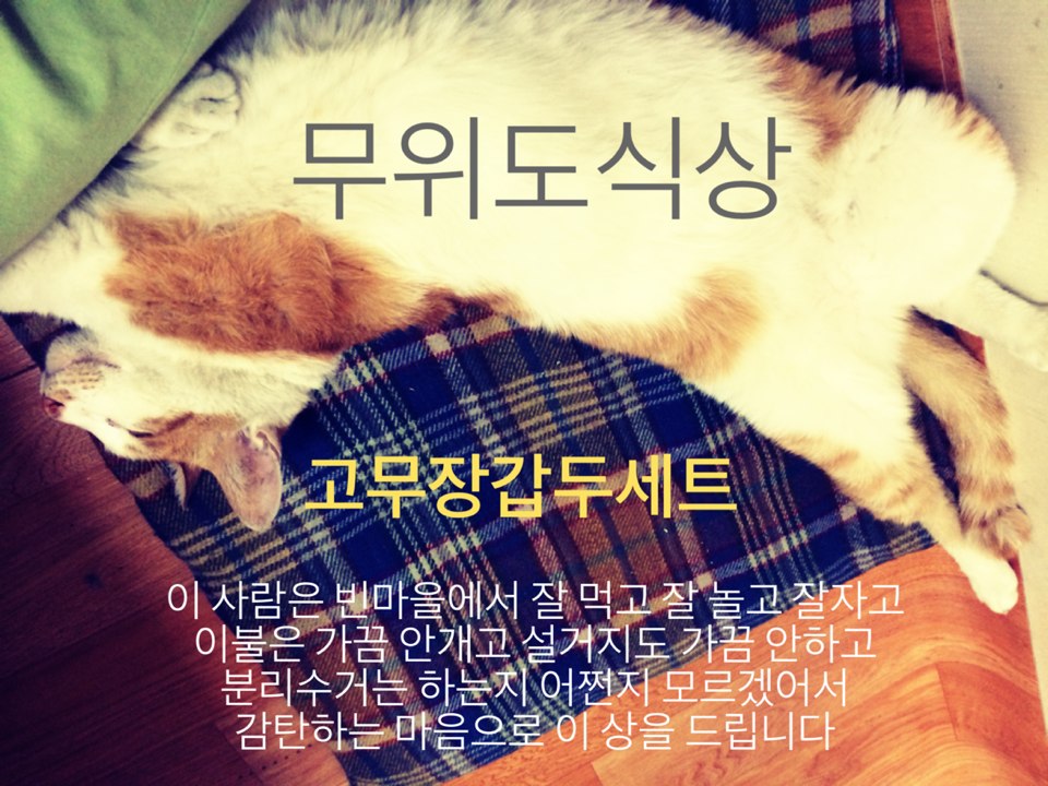 KakaoTalk_Photo_2014-06-29-17-46-12.jpeg