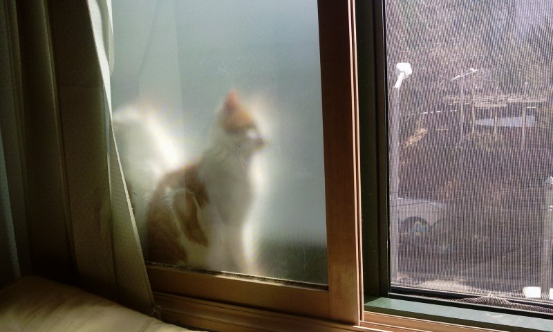 2011-03-04 12.08.18.jpg