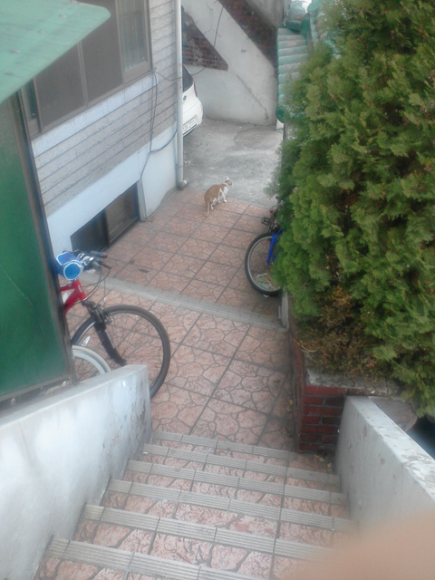 사진111210_015.jpg