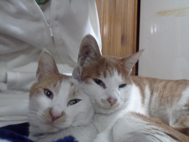 사진111210_013.jpg