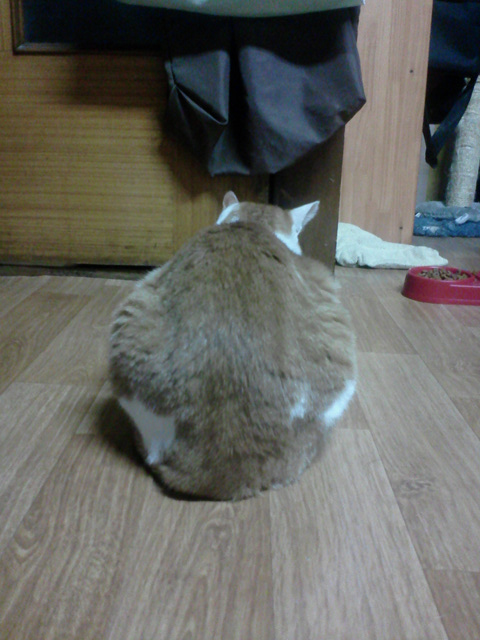 사진111209_011.jpg