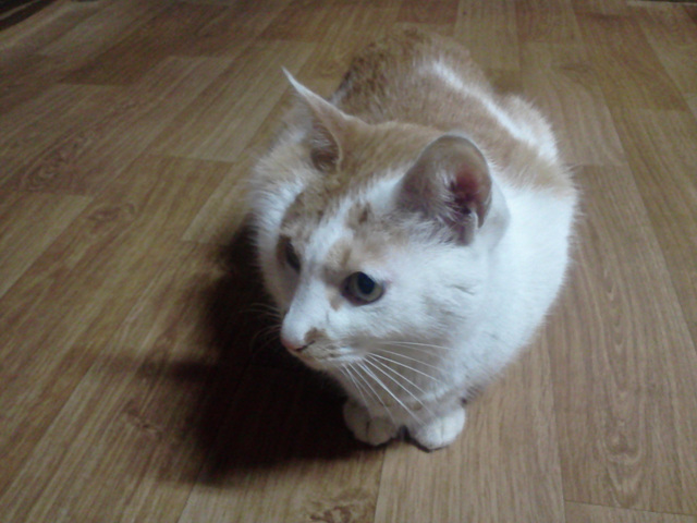 사진111209_013.jpg
