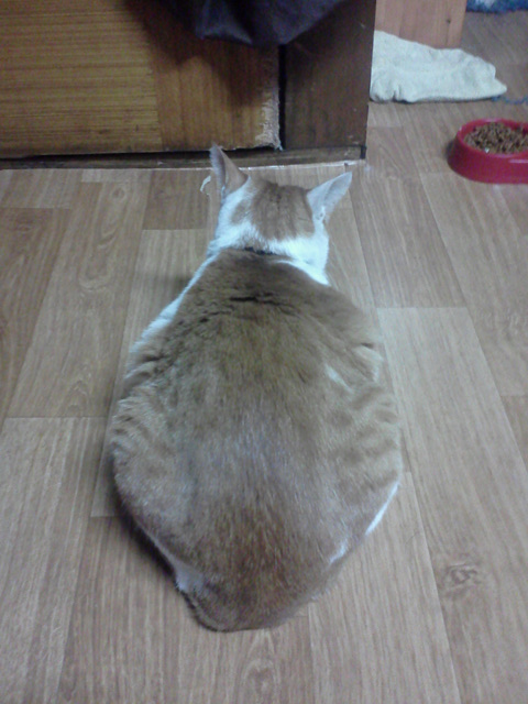 사진111209_012.jpg