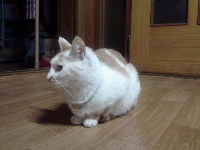 사진111209_010.jpg
