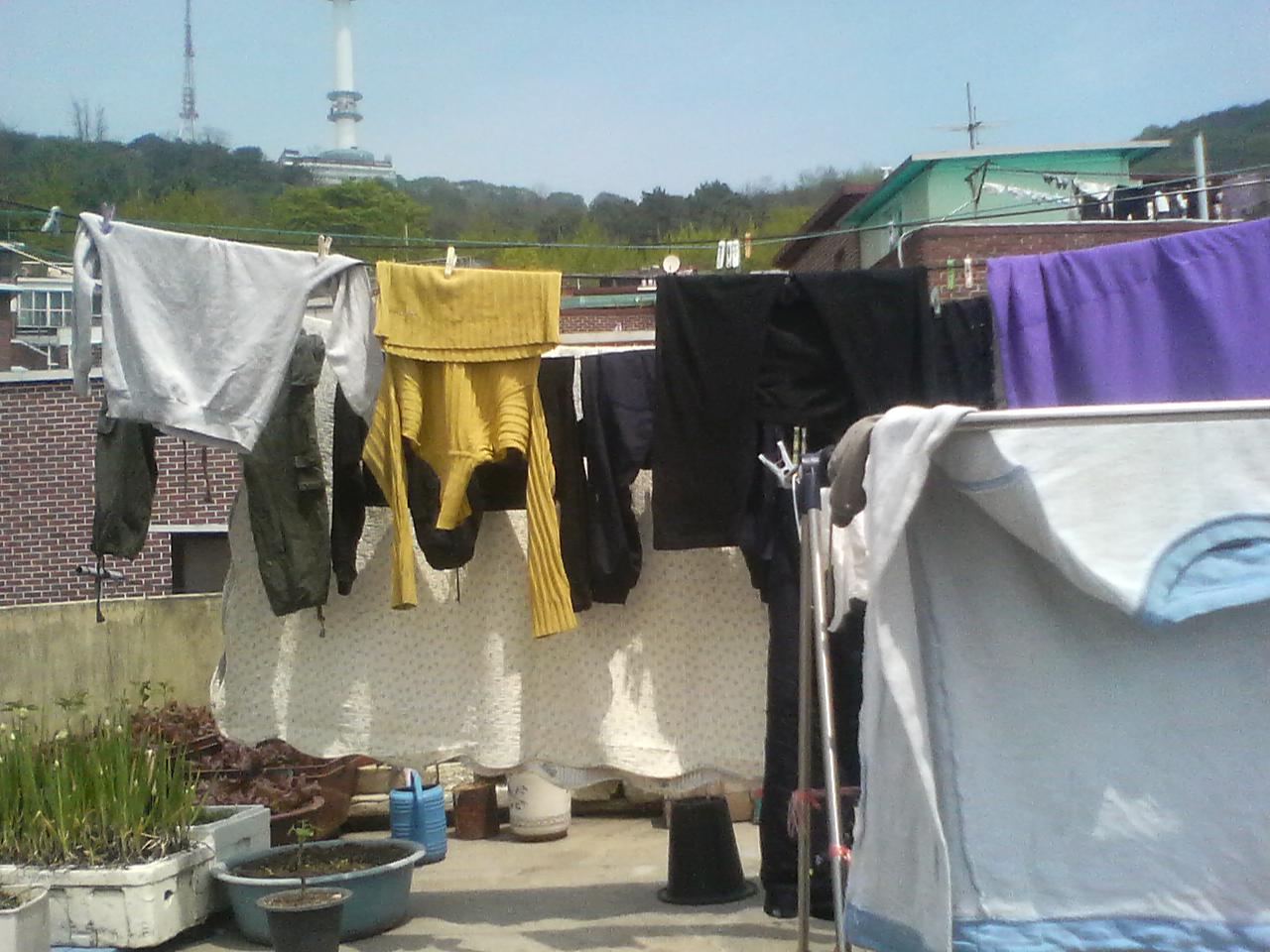 사진100509_1.jpg
