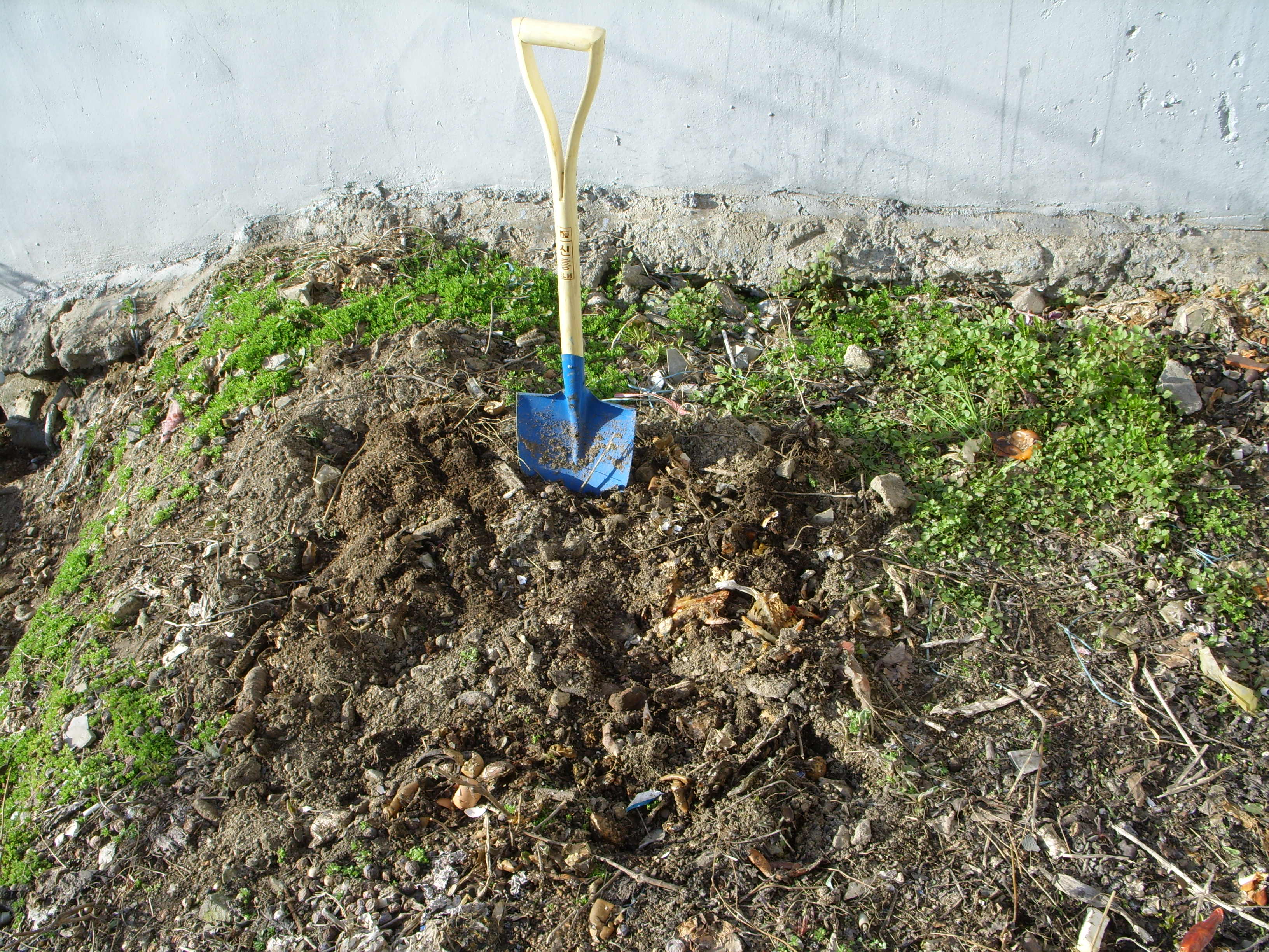 Compost Pile.JPG