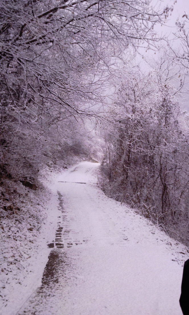 크기변환_2010-12-08 16.20.38.jpg