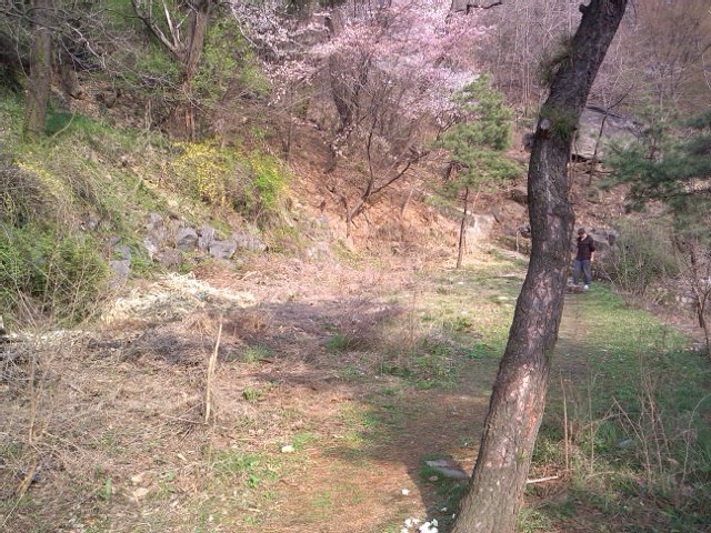 2013-04-21 16.37.32.jpg