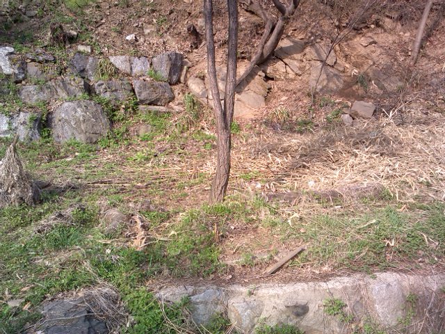 2013-04-21 16.39.13.jpg