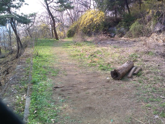 2013-04-21 16.39.22.jpg