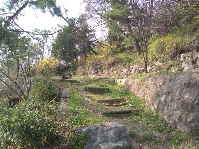 2013-04-21 16.40.33.jpg