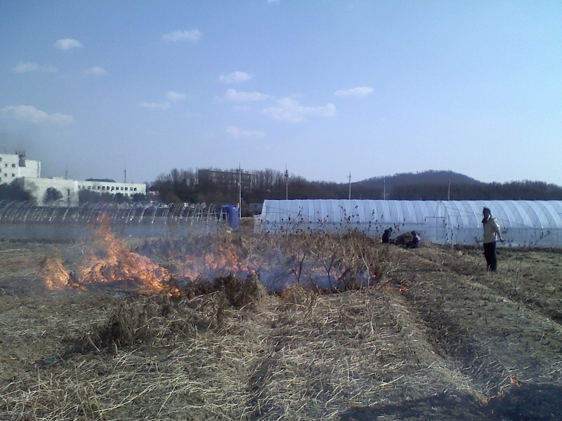 사진110326_005.jpg