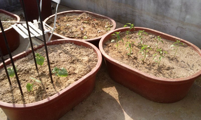 2011-04-20 15.57.53.jpg