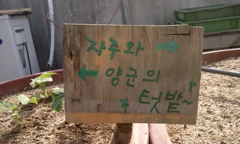 2011-04-20 15.58.35.jpg