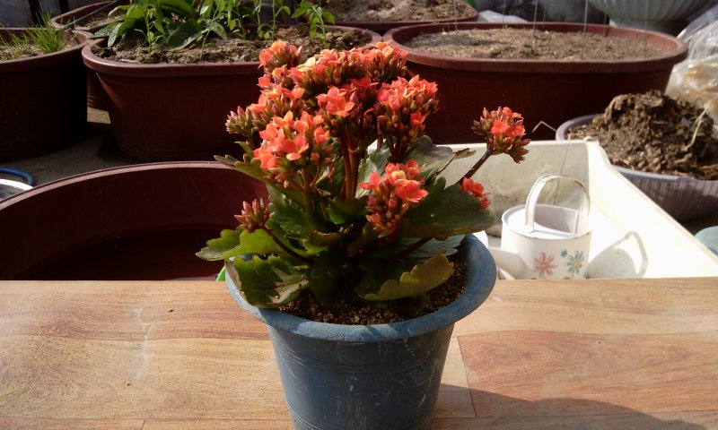 2011-04-20 15.59.09.jpg
