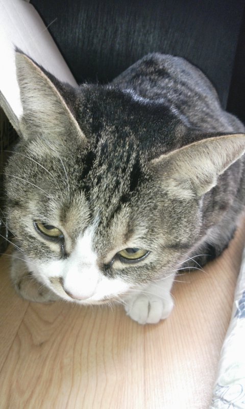 2011-04-18 15.14.53.jpg