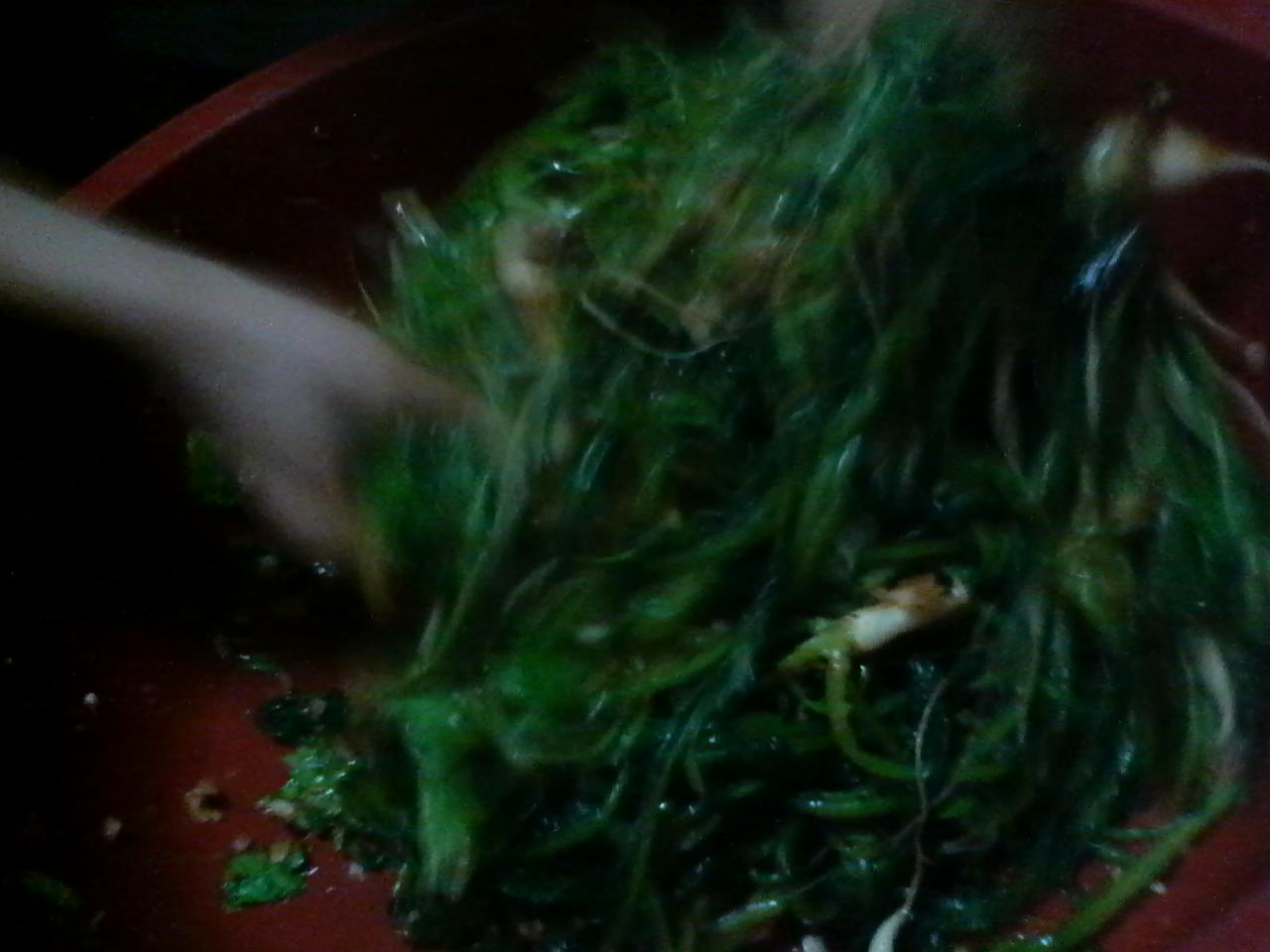 100525_3.jpg