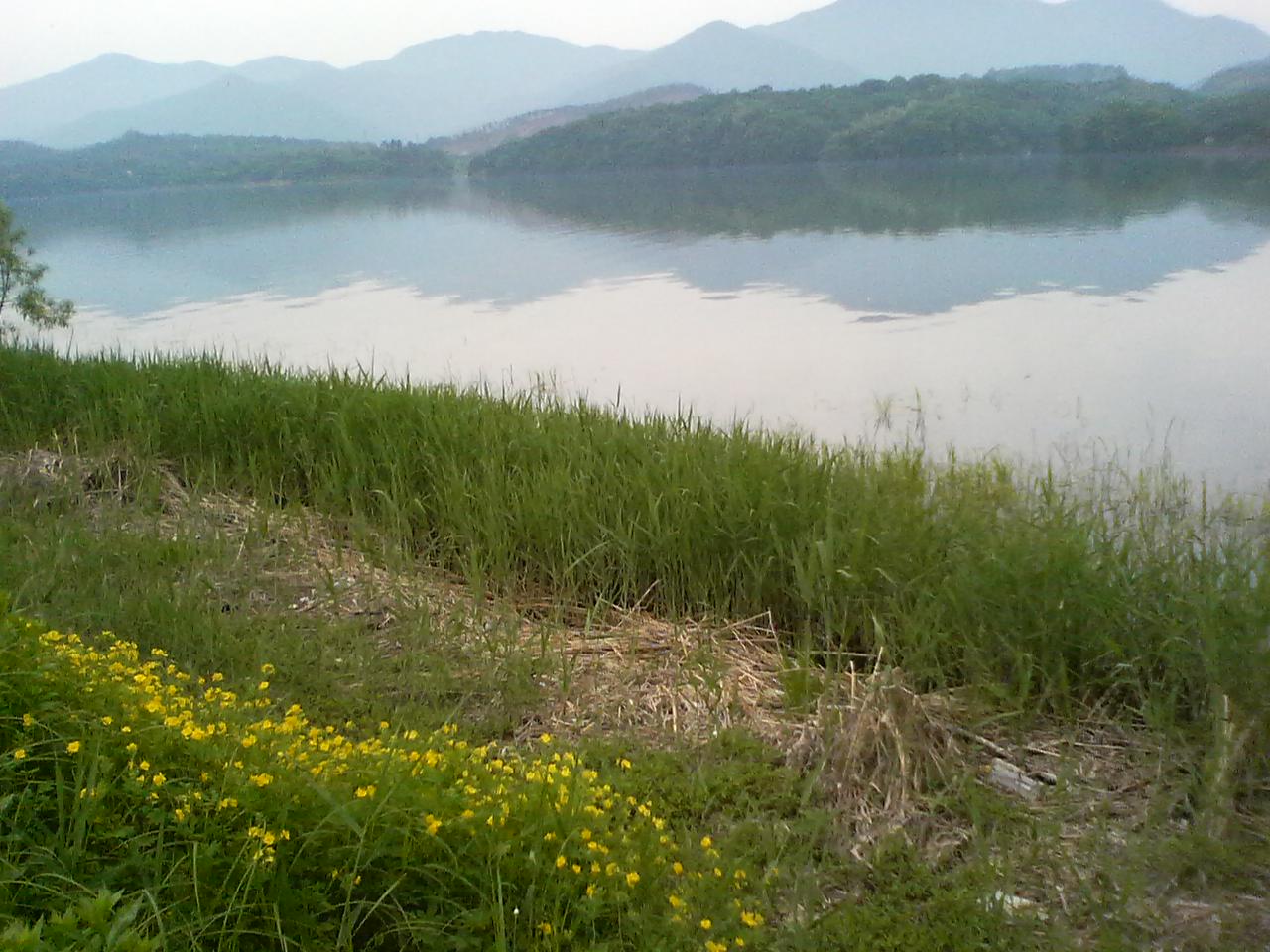사진100522_15.jpg