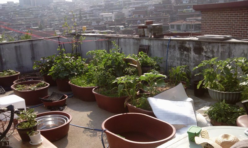 2011-06-04 16.38.30.jpg