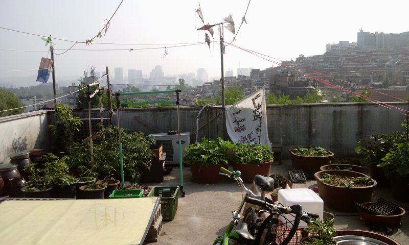 2011-06-04 16.38.39.jpg