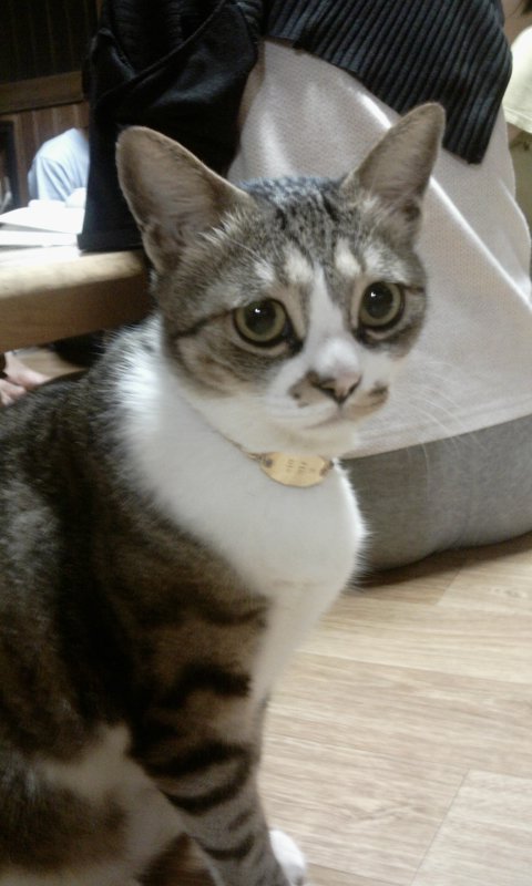 2011-07-17 00.24.50.jpg