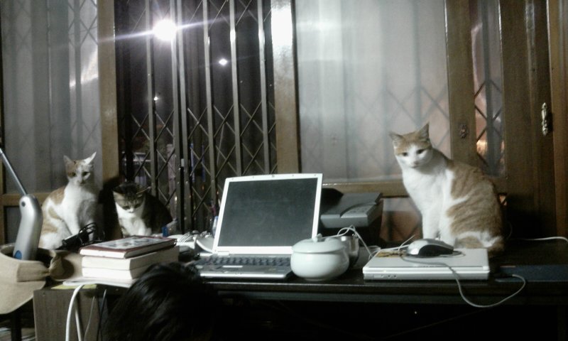 2011-06-13 01.15.15.jpg