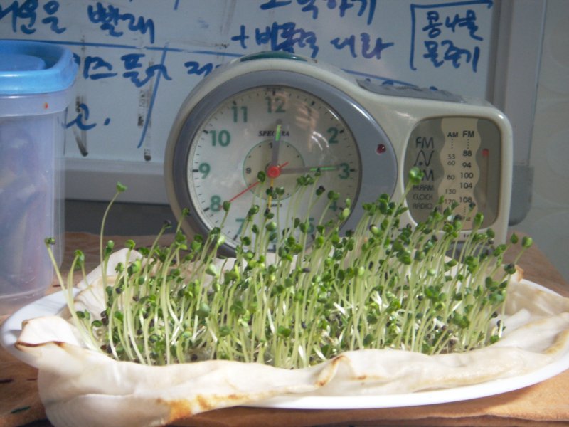 200902 012_800.jpg