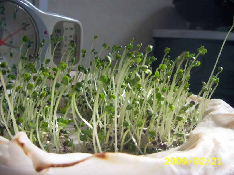 200902 016-800.jpg