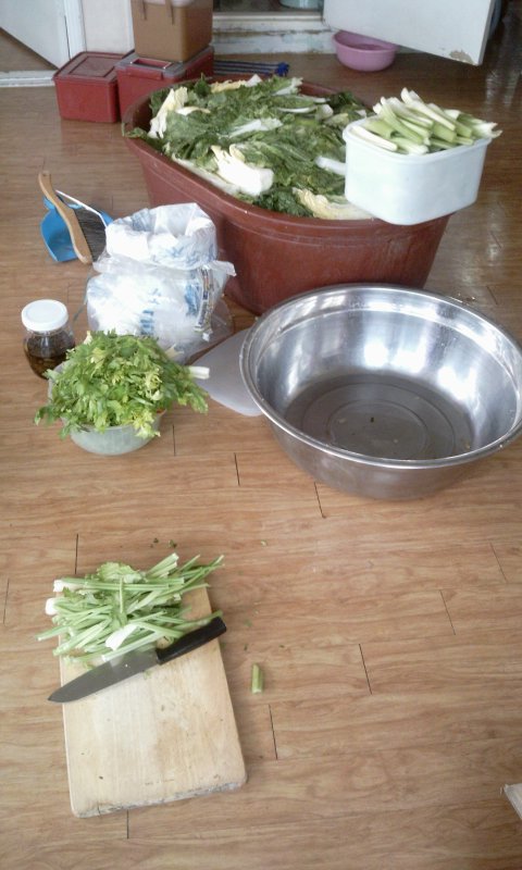 2011-05-19 18.07.26.jpg