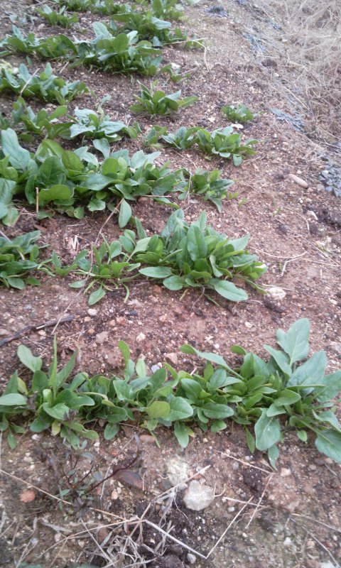 2011-11-28 15.54.43.jpg